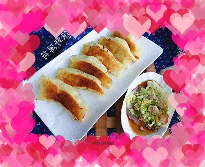 Pork pot stickers with cabbage sauce