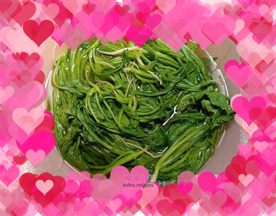 Fresh radish seedlings