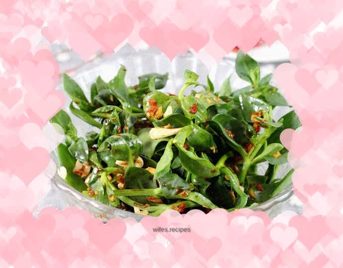 Cold Andrographis Paniculata