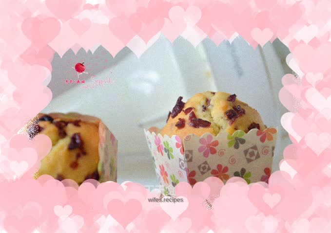 Cranberry Soy Milk Muffin