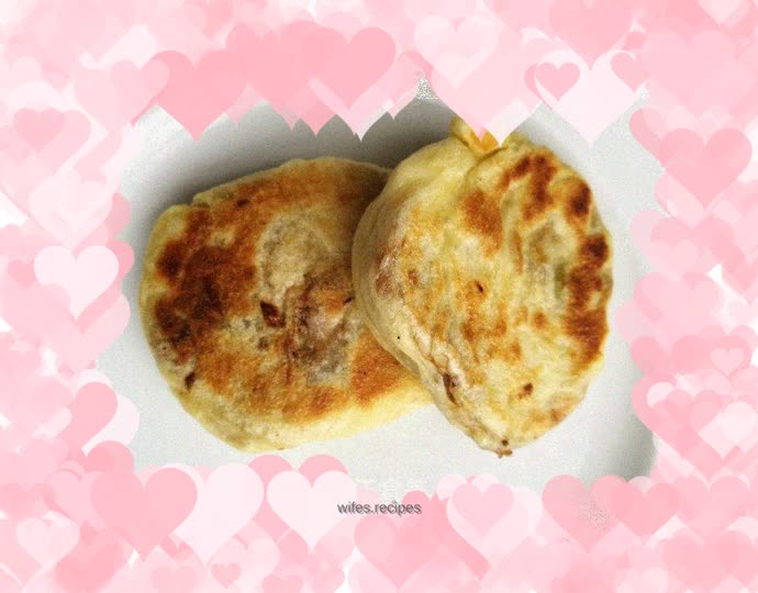 Homemade fermented beef patties