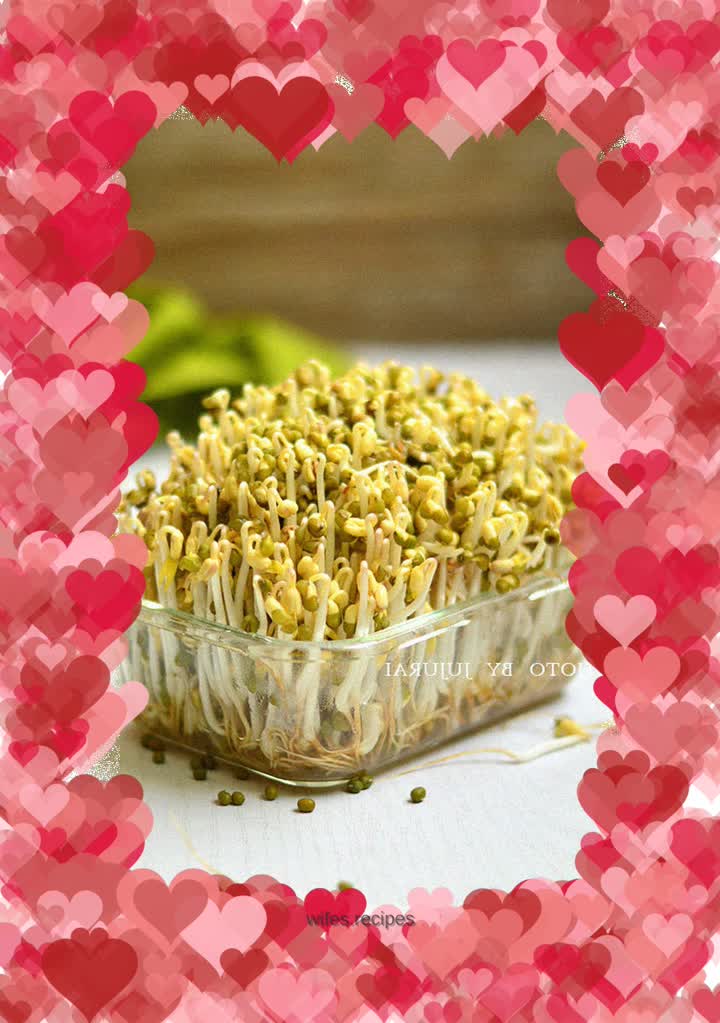 Homemade mung bean sprouts