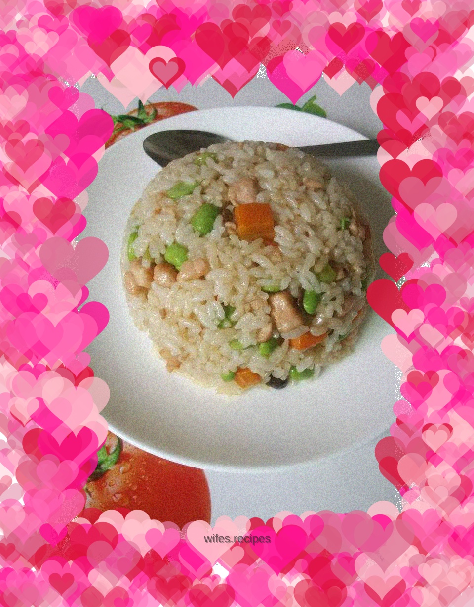 Salmon~Colorful Green Bean Fried Rice