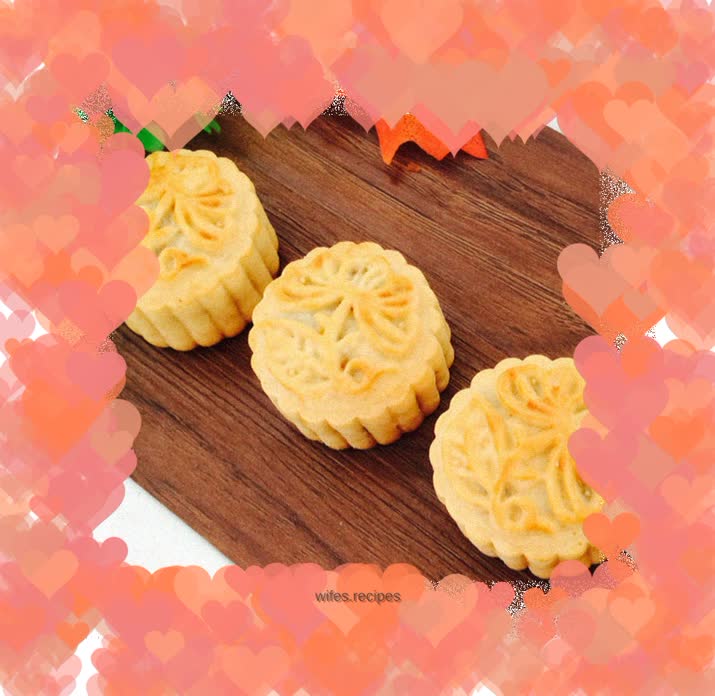 Cantonese style five-nut mooncake