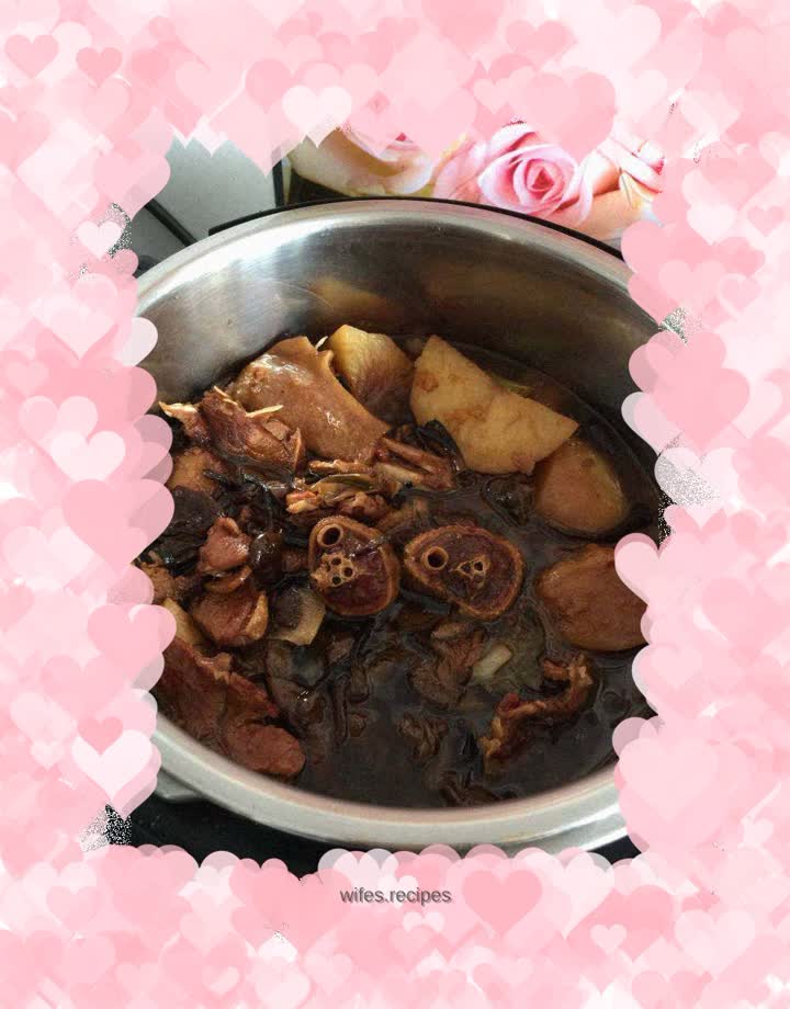 Braised Goose with Potatoes and Wild Mushrooms