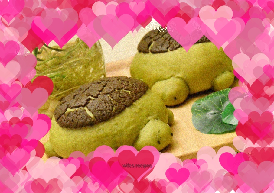 Turtle Pineapple Bun