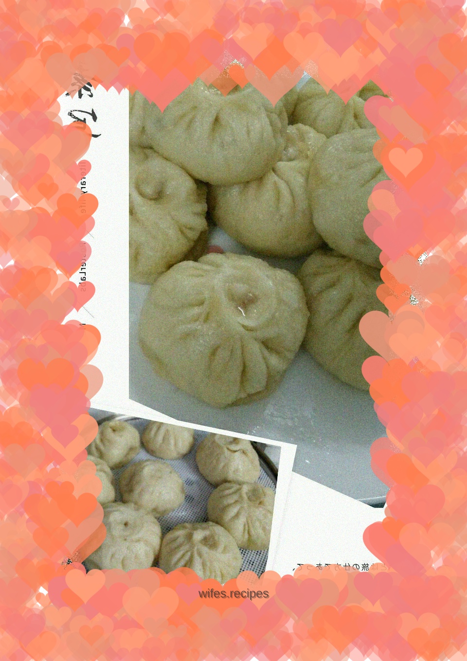 Fresh meat dumplings