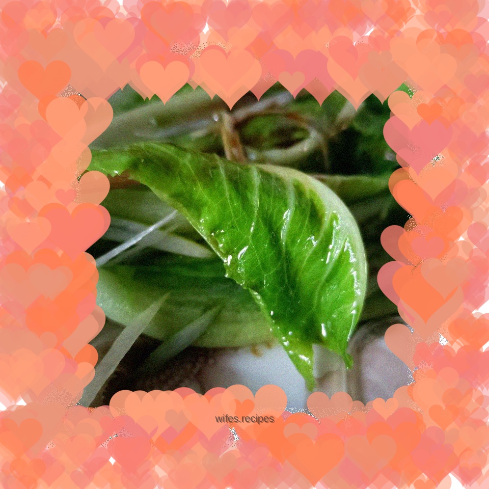 Romaine Lettuce in Oyster Sauce