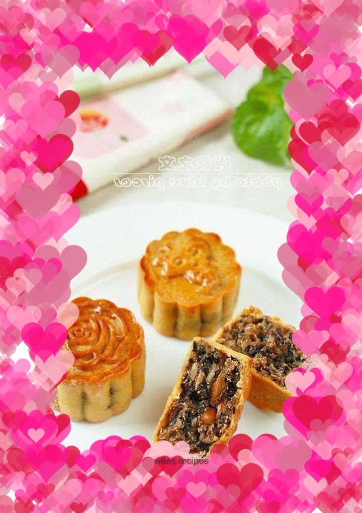 Cantonese style five-nut mooncake