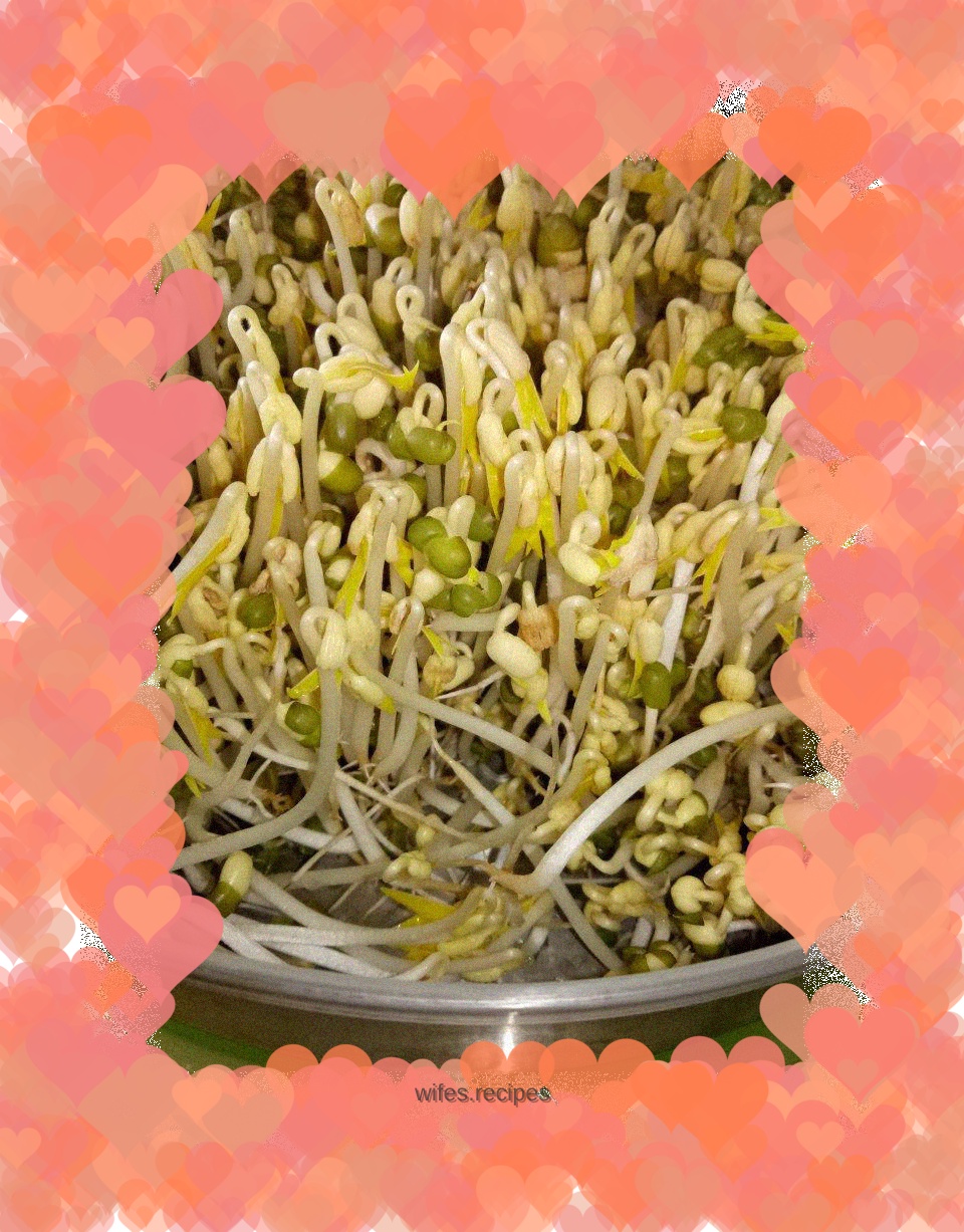 Mung bean sprouts