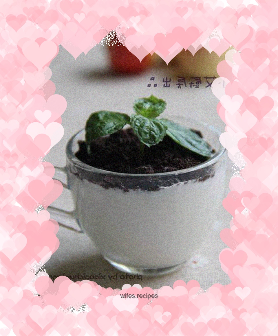 Yogurt small potted plant