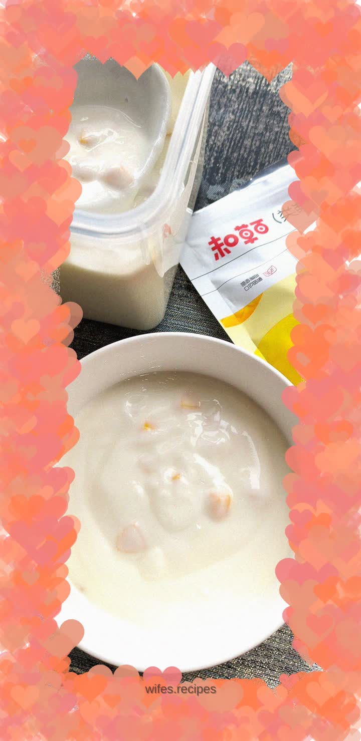 Homemade Mango Yogurt