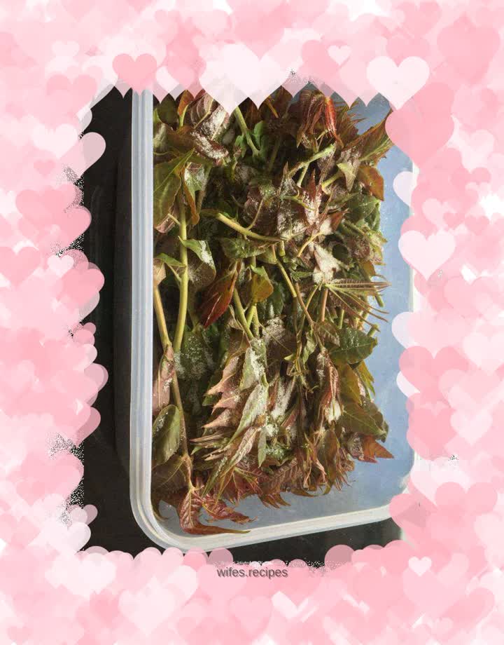 Pickled Chinese Toon