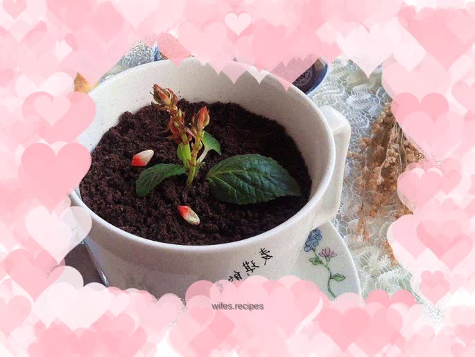 Potted yogurt