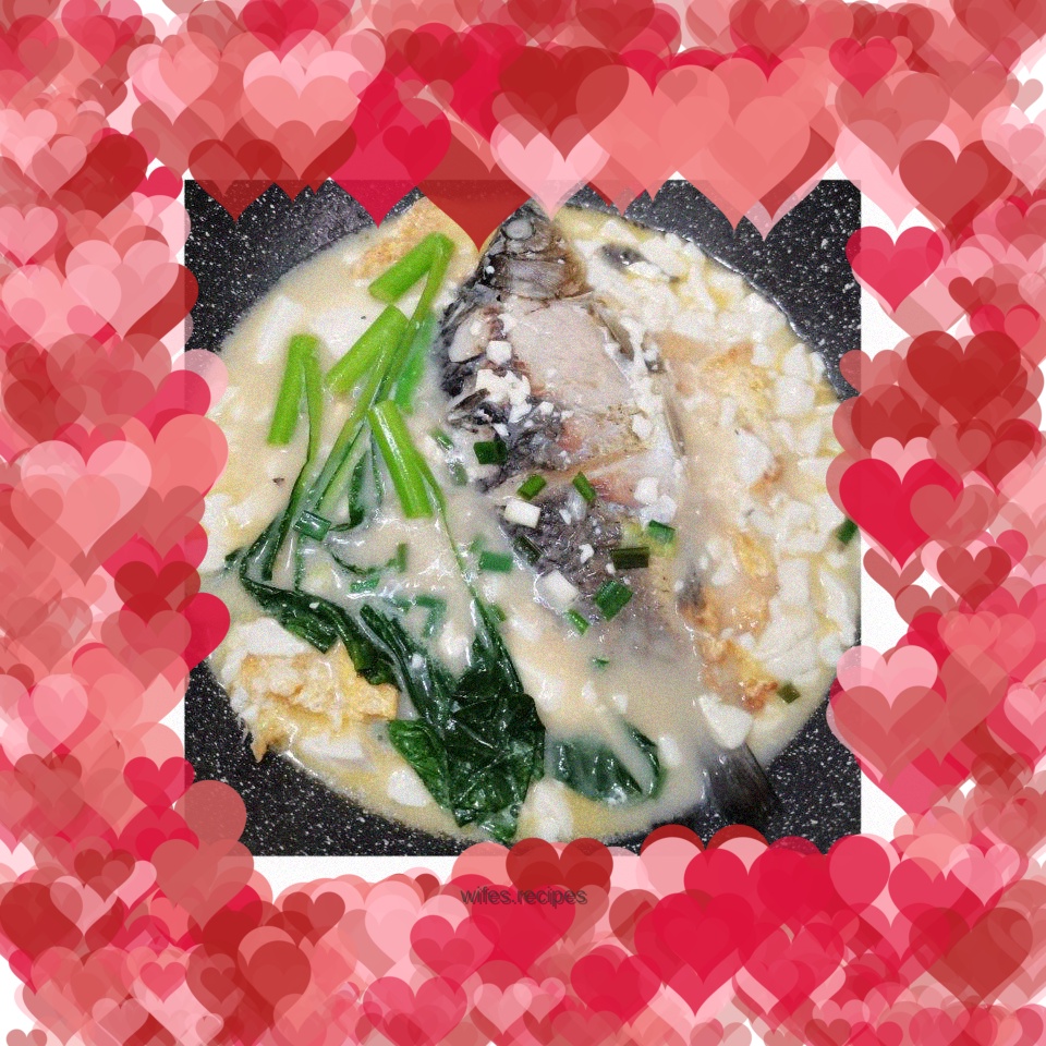 Tofu and crucian carp soup