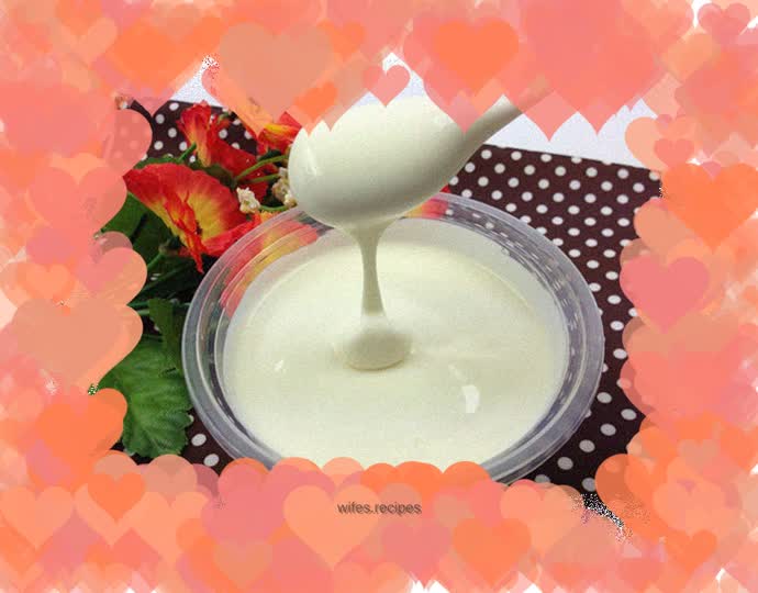 Homemade probiotic handmade yogurt