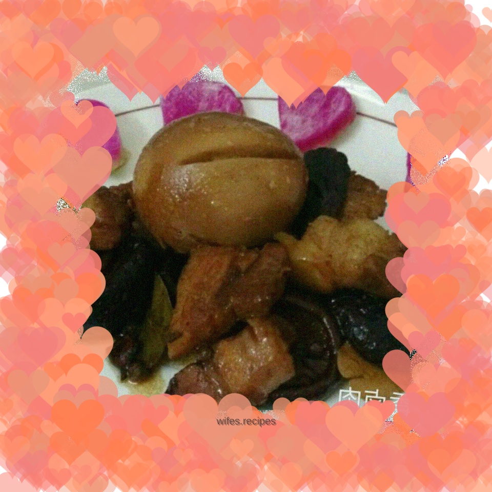 Five spice braised pork