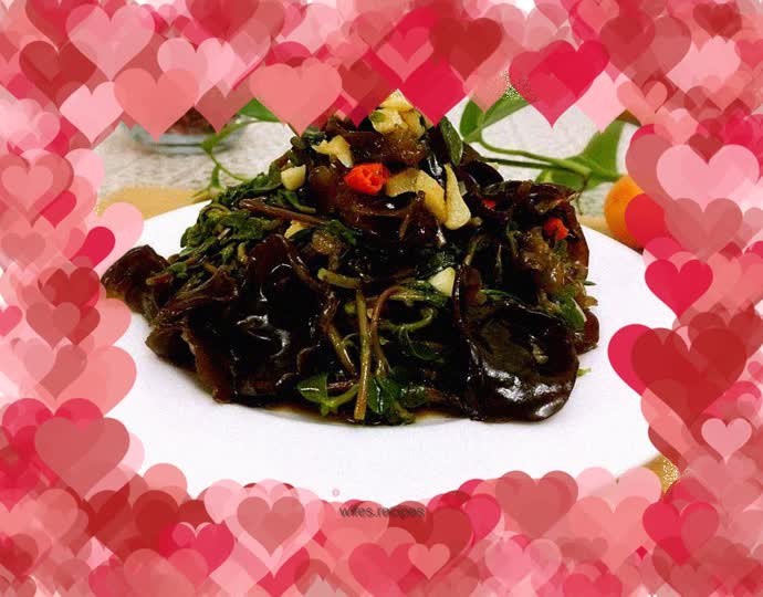 Purslane cold fungus