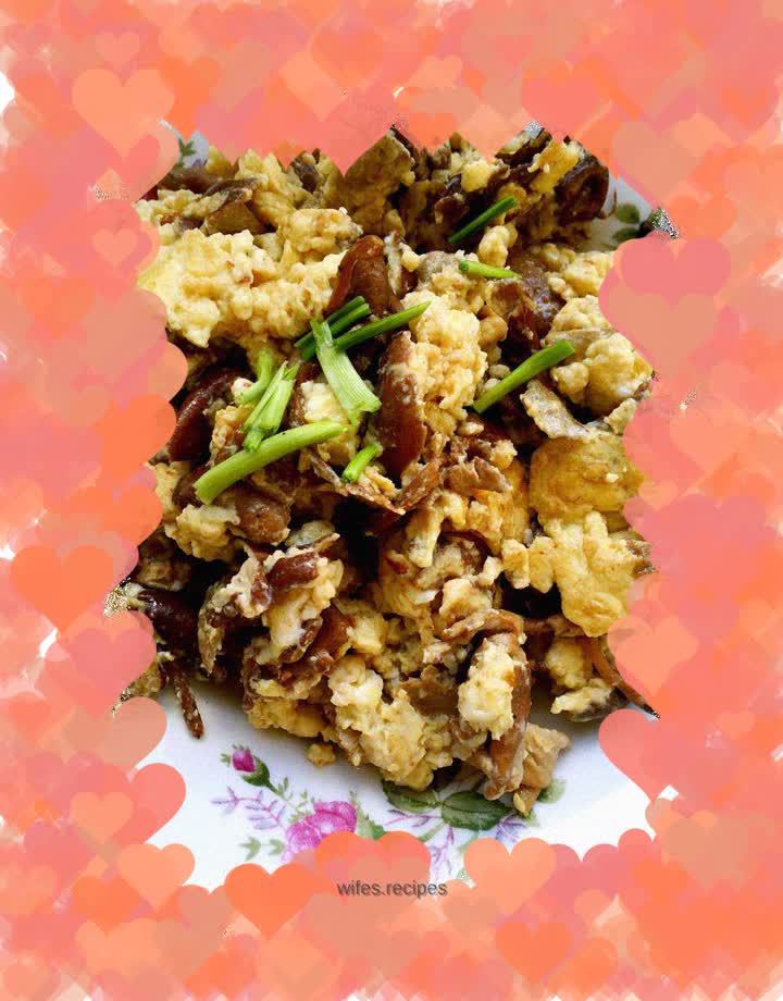 Taiwan mushroom