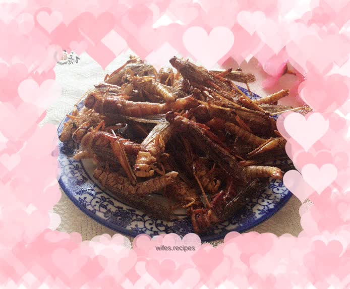 Fried grasshopper