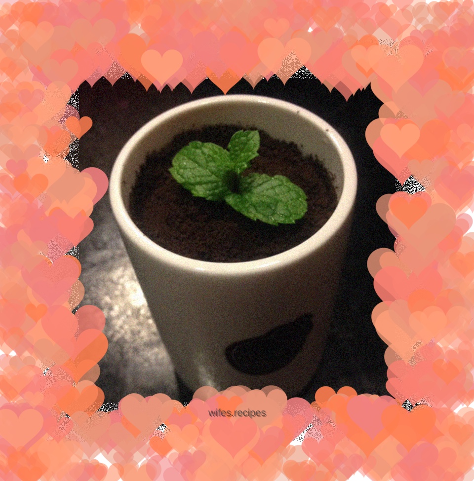 Yogurt potted plant