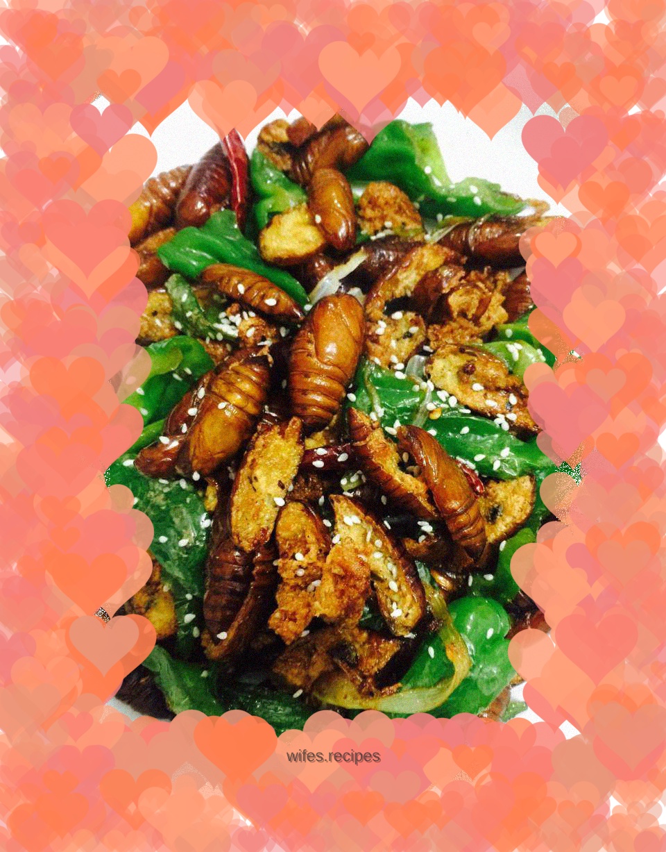 Open edge cicada pupa (Northeast)