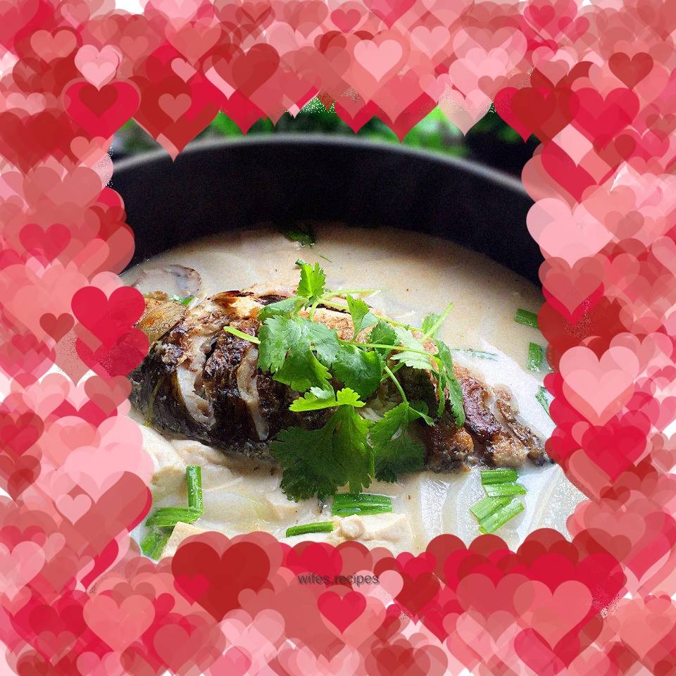 Crucian carp, radish and tofu soup