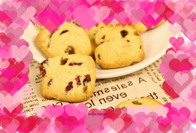 Wonderful recipe | Beginner’s guide—Cranberry Raisin Cookies