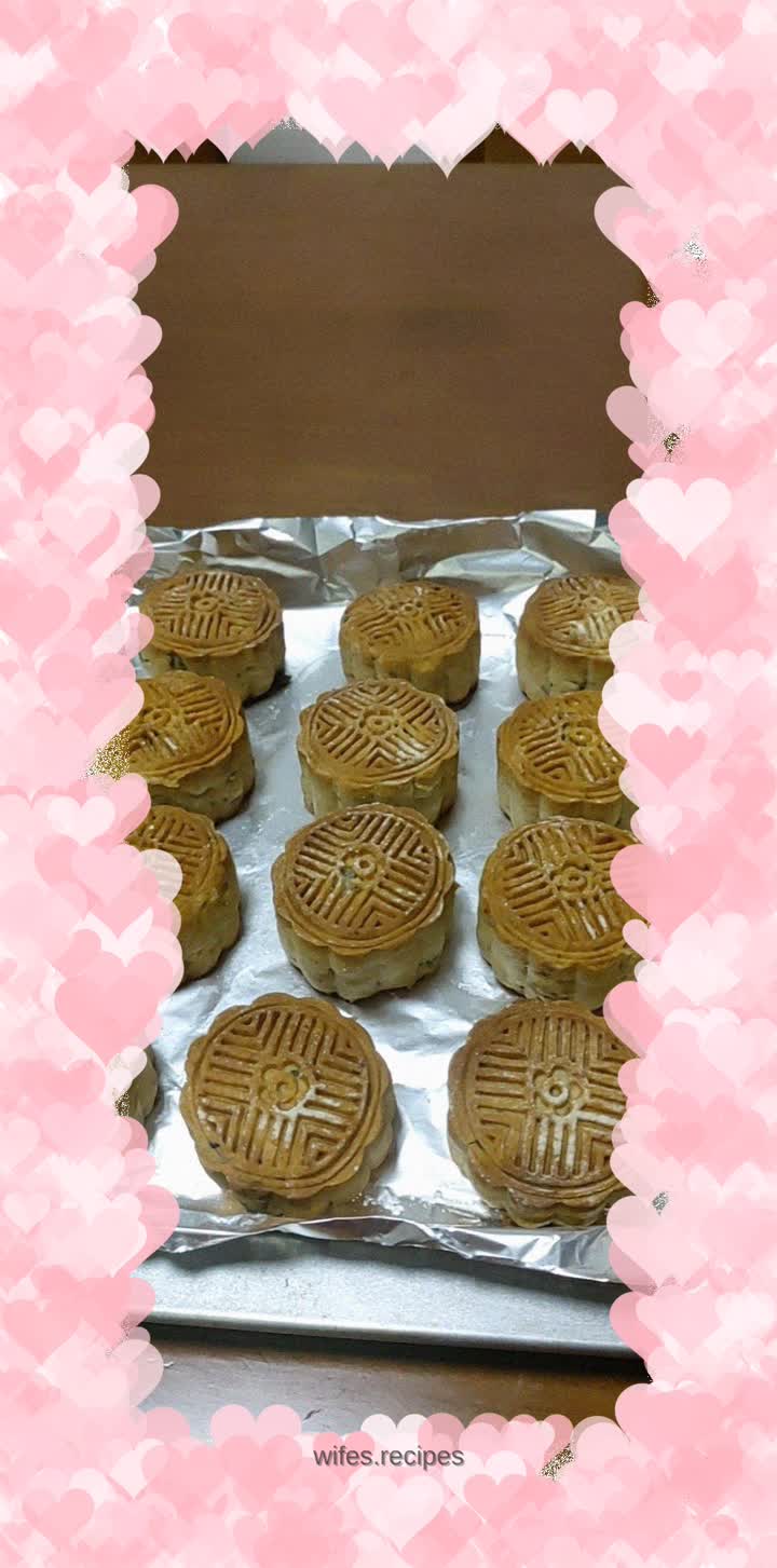 Cantonese style five-nut mooncake
