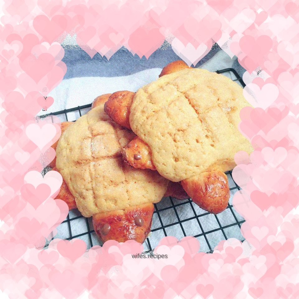 Turtle Pineapple Bean Paste Bun