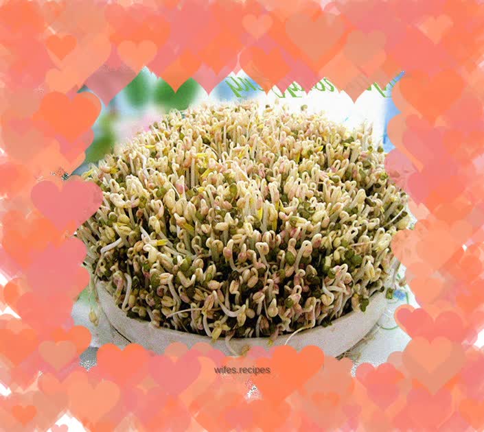 Self-growing mung bean sprouts