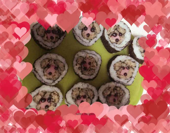 Dog Sushi