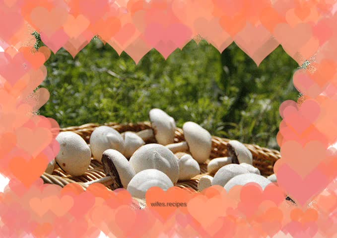 Mushroom protein sugar