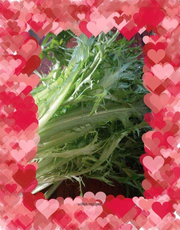 Cold bitter chrysanthemum