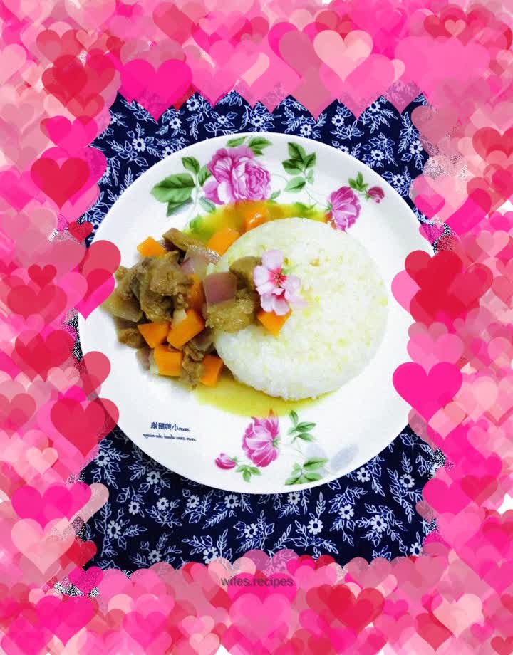 Beef and Onion Curry Rice