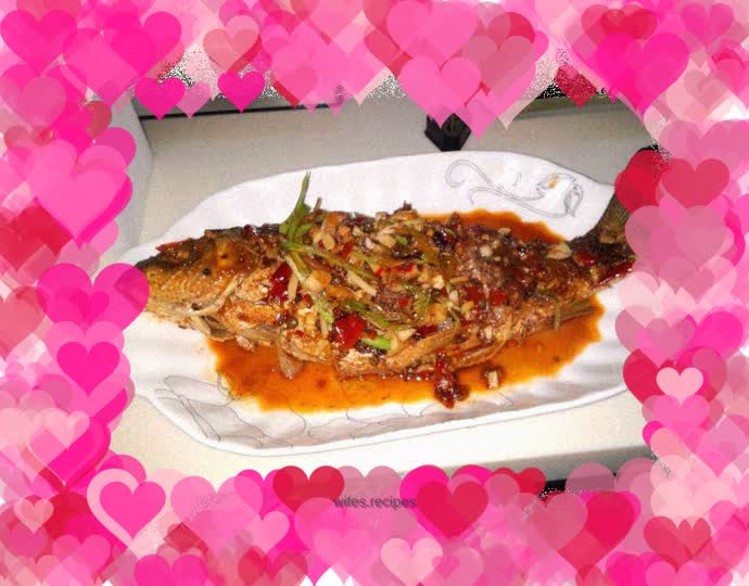 wild carp