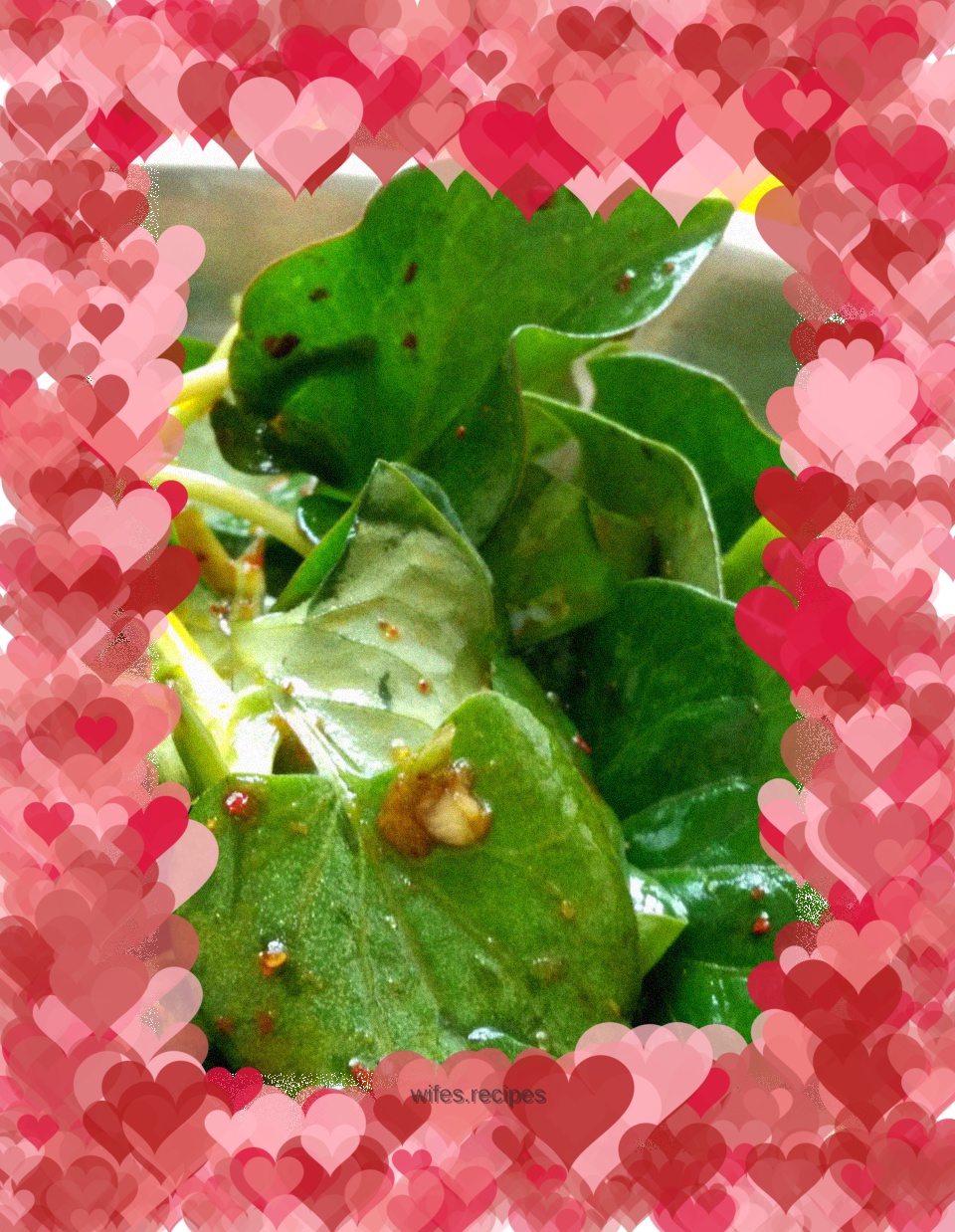 【Sichuan】Cold Houttuynia cordata