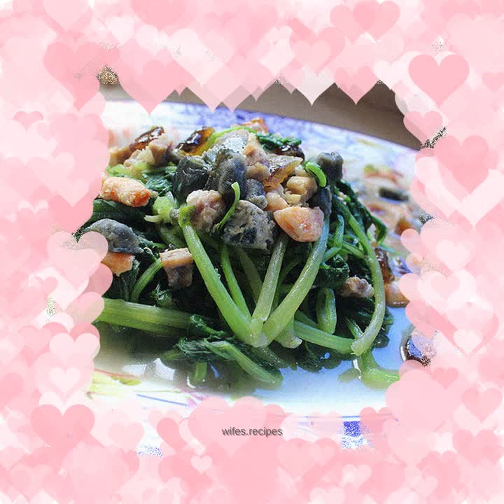 Soup radish seedlings