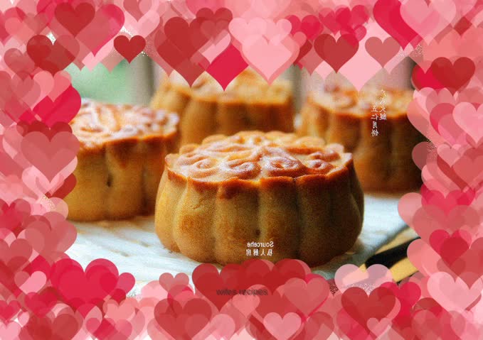 Cantonese style ham and five kernel mooncakes