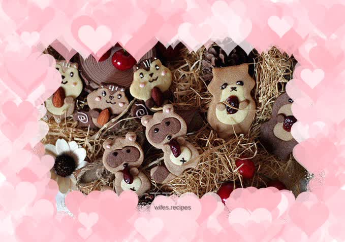 Cute animal cookie set
