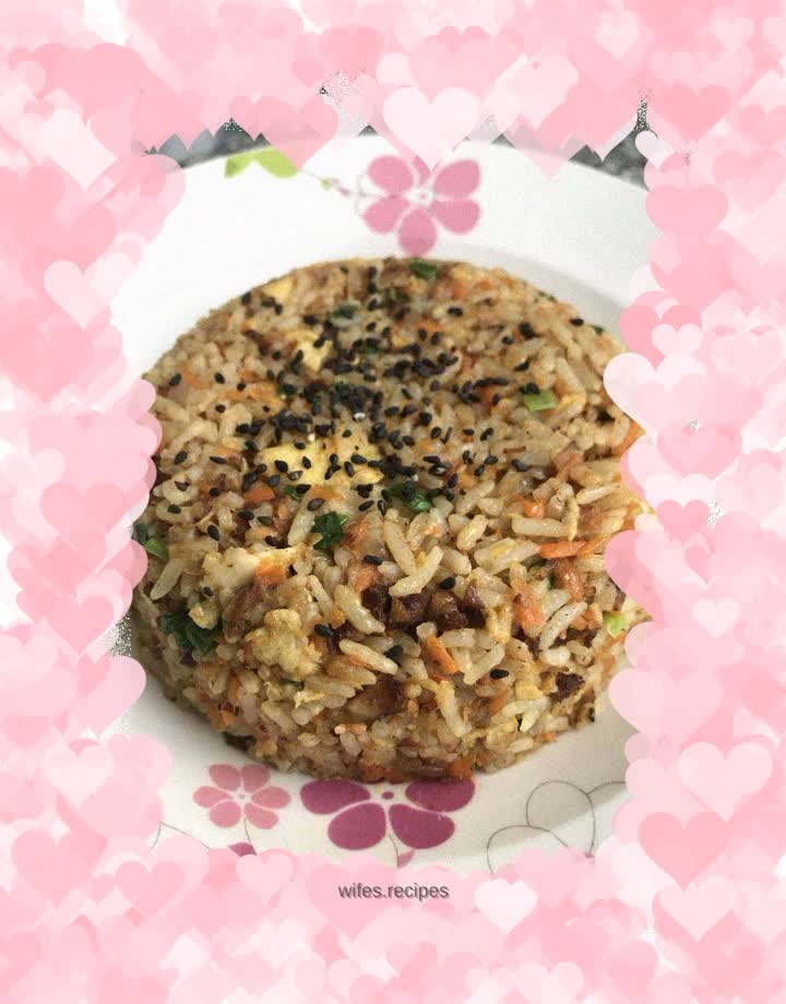 Braised Pork and Egg Fried Rice