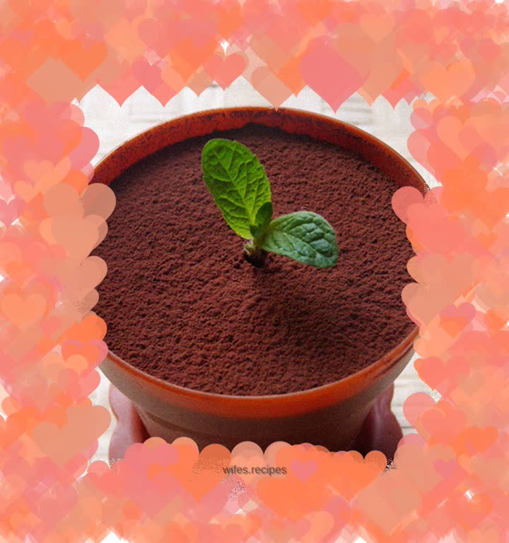 Potted Tiramisu
