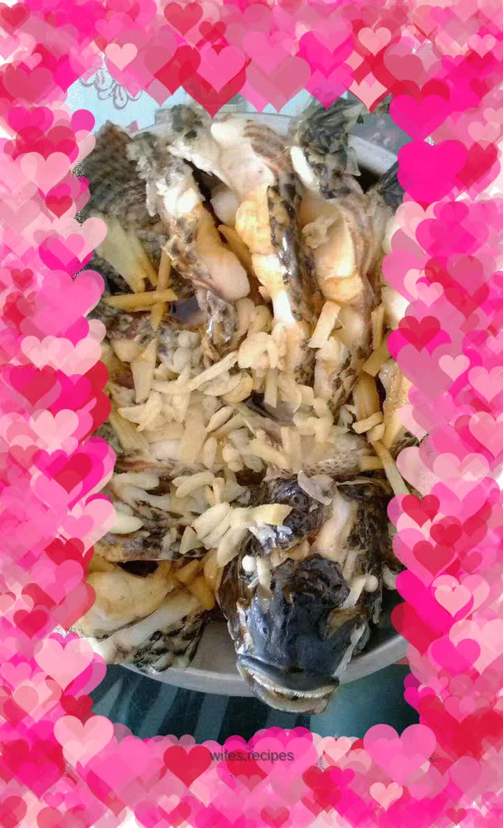 Peacock in full bloom