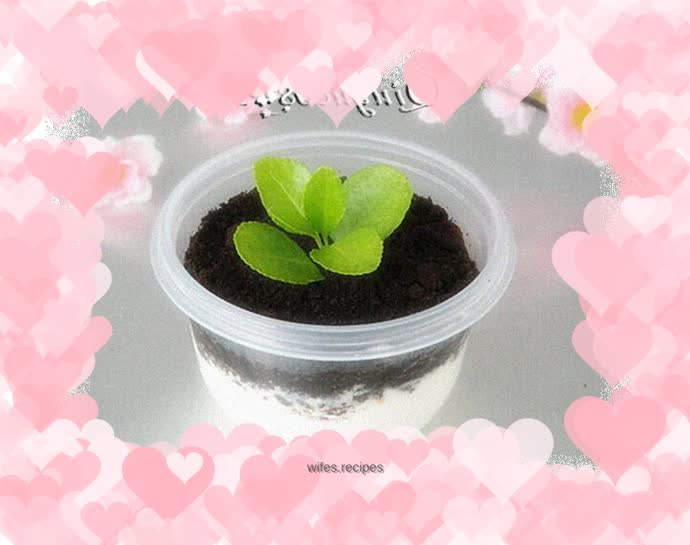 Oreo yogurt bonsai