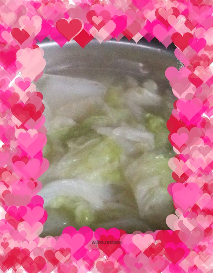 Cabbage