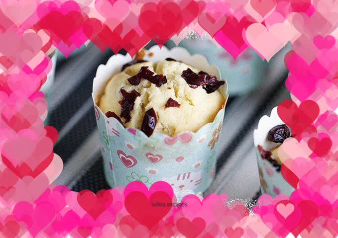 Cranberry Yogurt Muffins