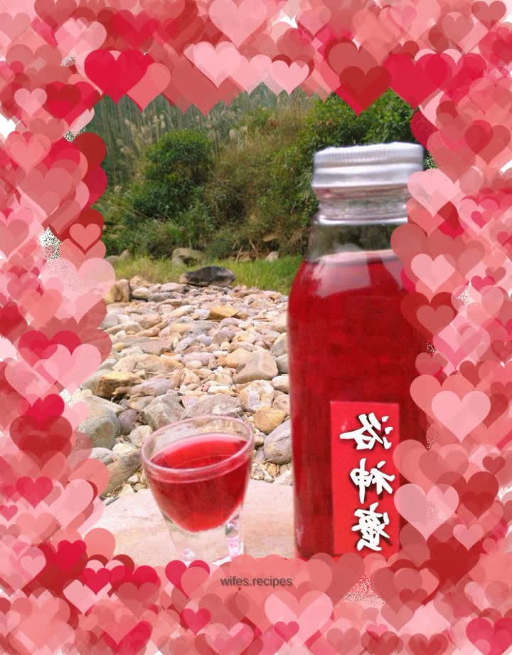 Homemade Roselle Honey Wine 30º