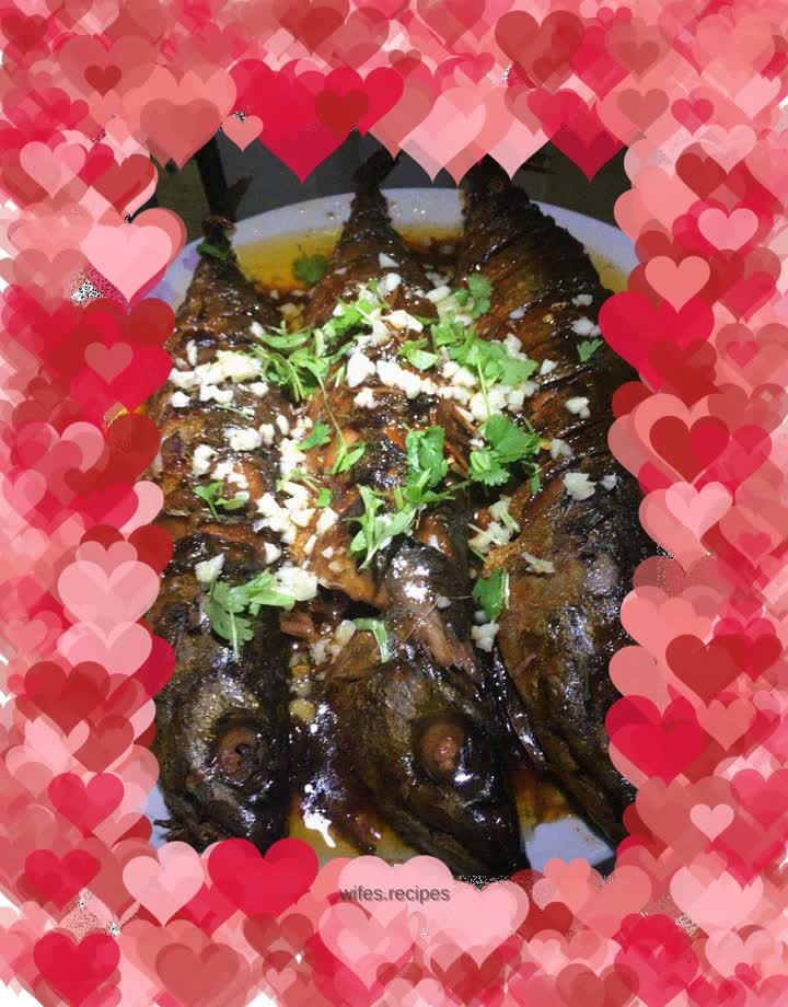 Taiwanese mackerel