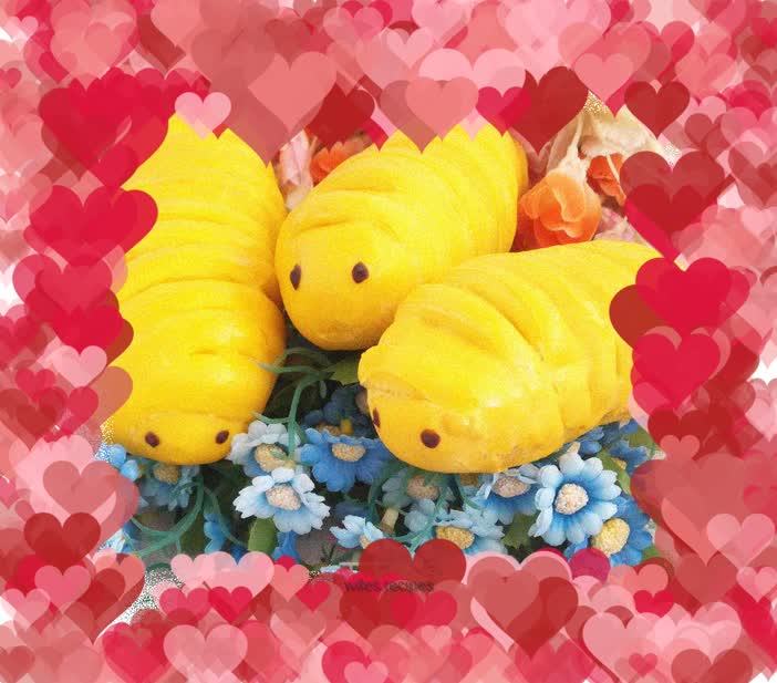 Pumpkin Caterpillar Bread