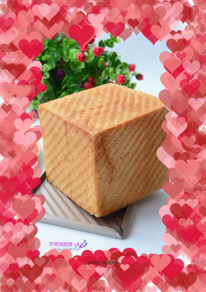 Water Cube Whole Wheat Toast